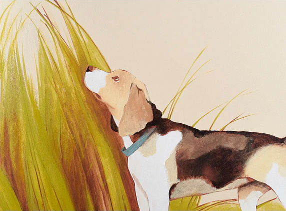 Двухкамерный холодильник Kuppersberg NFM 200 CG серия Охота preview 5